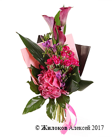 ����� ����� ��������