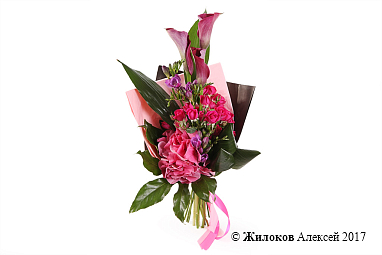 ����� ����� ��������