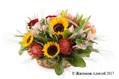 ����� ���� � ��������