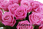 Букет 35 роз Аква