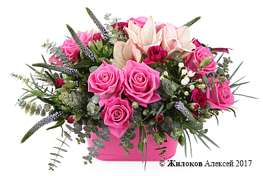 ���������� ����������� ����� � �����