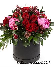 ����� ������ ���� � ������� �������