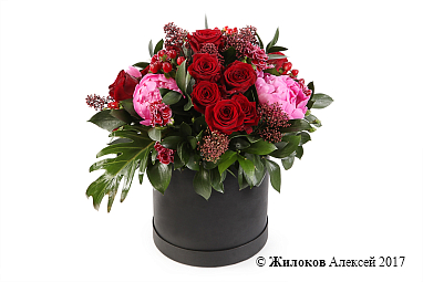 ����� ������ ���� � ������� �������