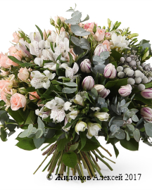 ����� ��������� ��������