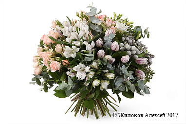 ����� ��������� ��������