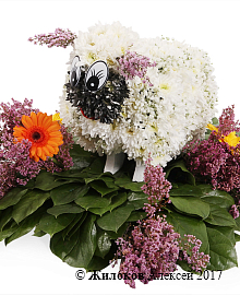 ���������� ������ �����