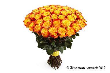 ����� 51 ���� ��� �����