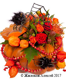 ���������� ������� ����� � �����