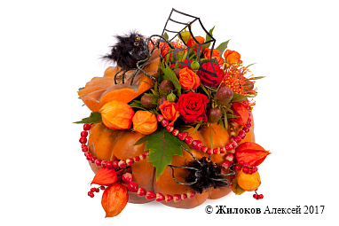 ���������� ������� ����� � �����