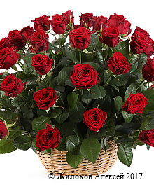 ����� 51 ���� � �������