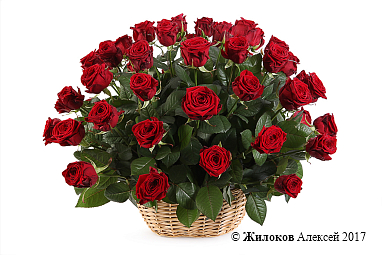 ����� 51 ���� � �������