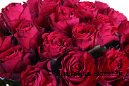 Букет 35 роз Родос