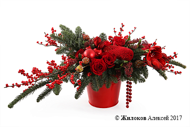 ���������� ������� ����