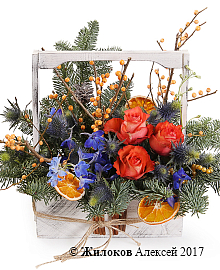 ����� ����� ������