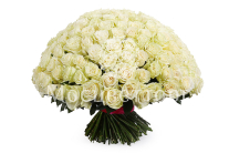 ����� 201 ���� ��������