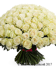 ����� 201 ���� ��������