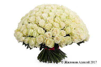 ����� 201 ���� ��������