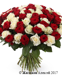 ����� 101 ���� ������-����� ����