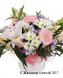 ����� �������� � ������� �������