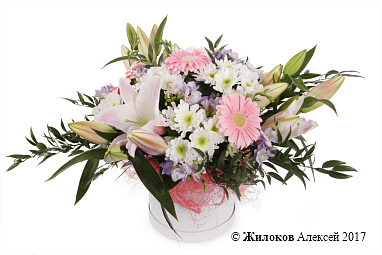 ����� �������� � ������� �������