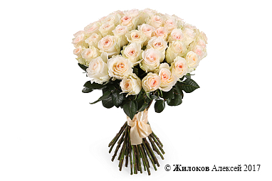 ����� 51 ���� ���������