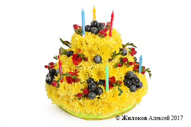 ���������� ���������