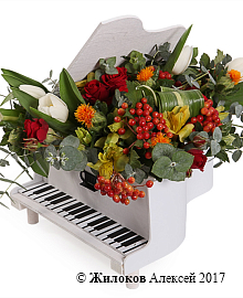 ���������� ����������� �������� � �����