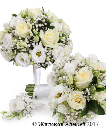 ����� ������� ��������