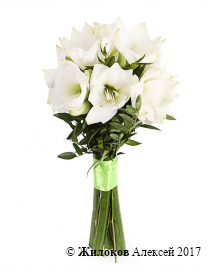 ����� � �������������� ����� �����