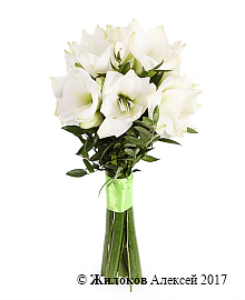 ����� � �������������� ����� �����