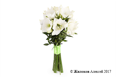 ����� � �������������� ����� �����