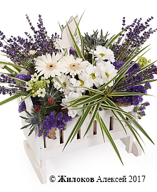 ���������� ����������� ���������� � �����