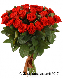 Букет 25 красных роз, 50 см