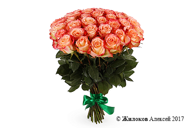 ����� 35 ��� ���� �������