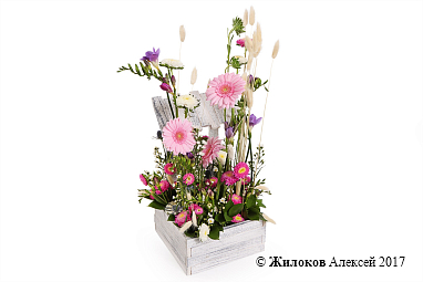 ���������� ���� ����������