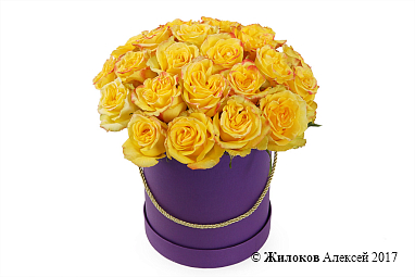 ����� 25 ��� ��� ����� � ������� �������