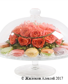 ���������� ��������� ����