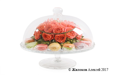 ���������� ��������� ����