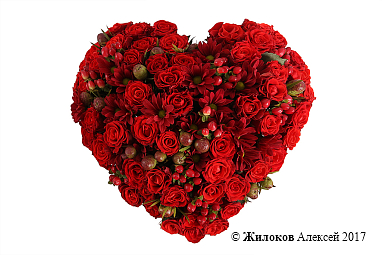 ���������� ������� ������