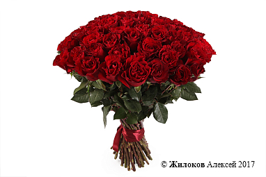 ����� 51 ���� �����