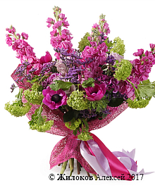 ����� ����������