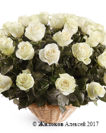 ����� 51 ���� �������� � �������