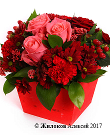 ���������� �������� ���������� � �����