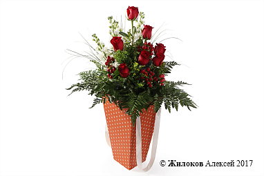 ����� ������� ����� � �������