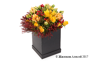 ����� � ���������� ��� � ������� �������