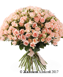 ����� 50 �������� ��� ���� ����