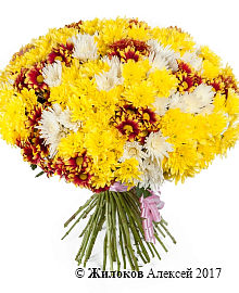 ����� 51 �������� ����������