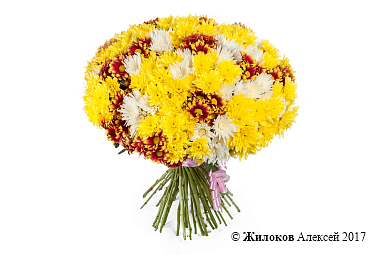 ����� 51 �������� ����������