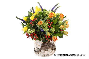 ����� ������ �������