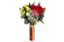 ����� ���� ���������